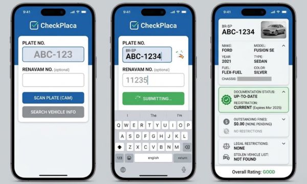 Checking-information-through-apps-(Source-Gemini)