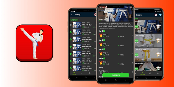 Taekwondo at Home App